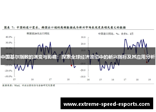 中国基尔指数的演变与影响：探索全球经济波动中的新兴指标及其应用分析