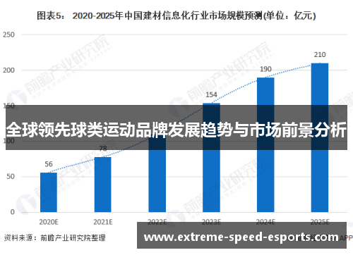 全球领先球类运动品牌发展趋势与市场前景分析